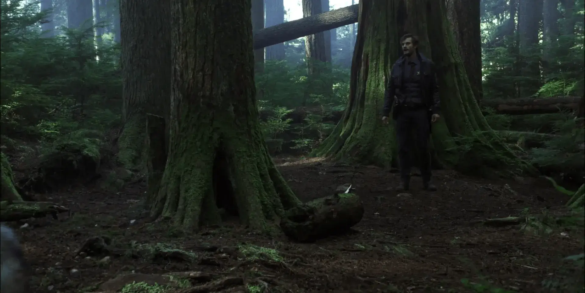 Однажды в сказке - 1 сезон 7 серия - 6 кадр