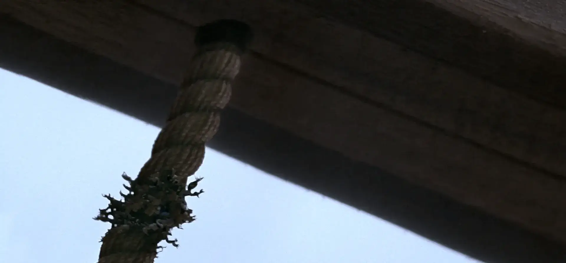 Однажды в сказке - 2 сезон 22 серия - 2 кадр