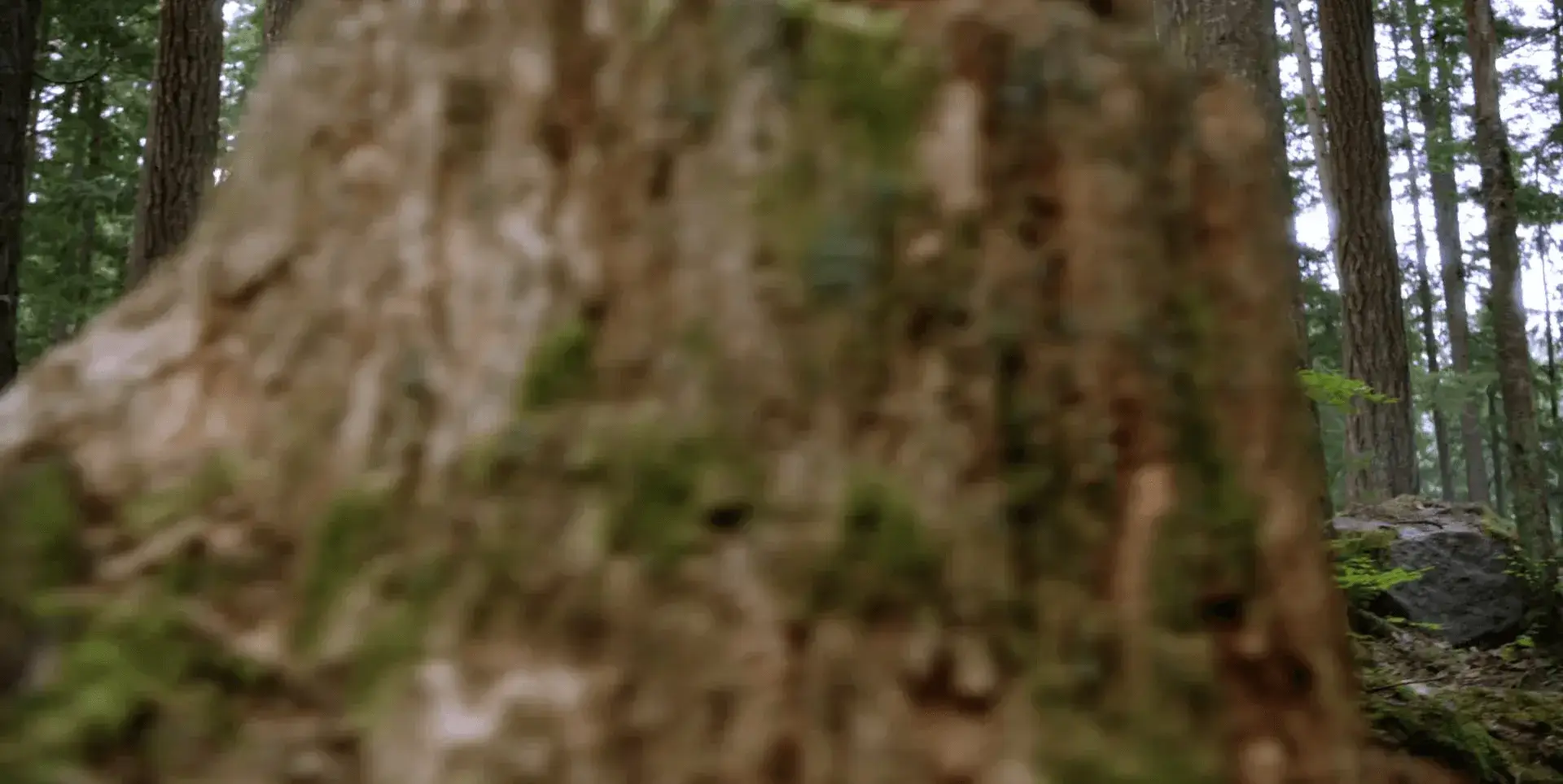 Однажды в сказке - 2 сезон 7 серия - 5 кадр